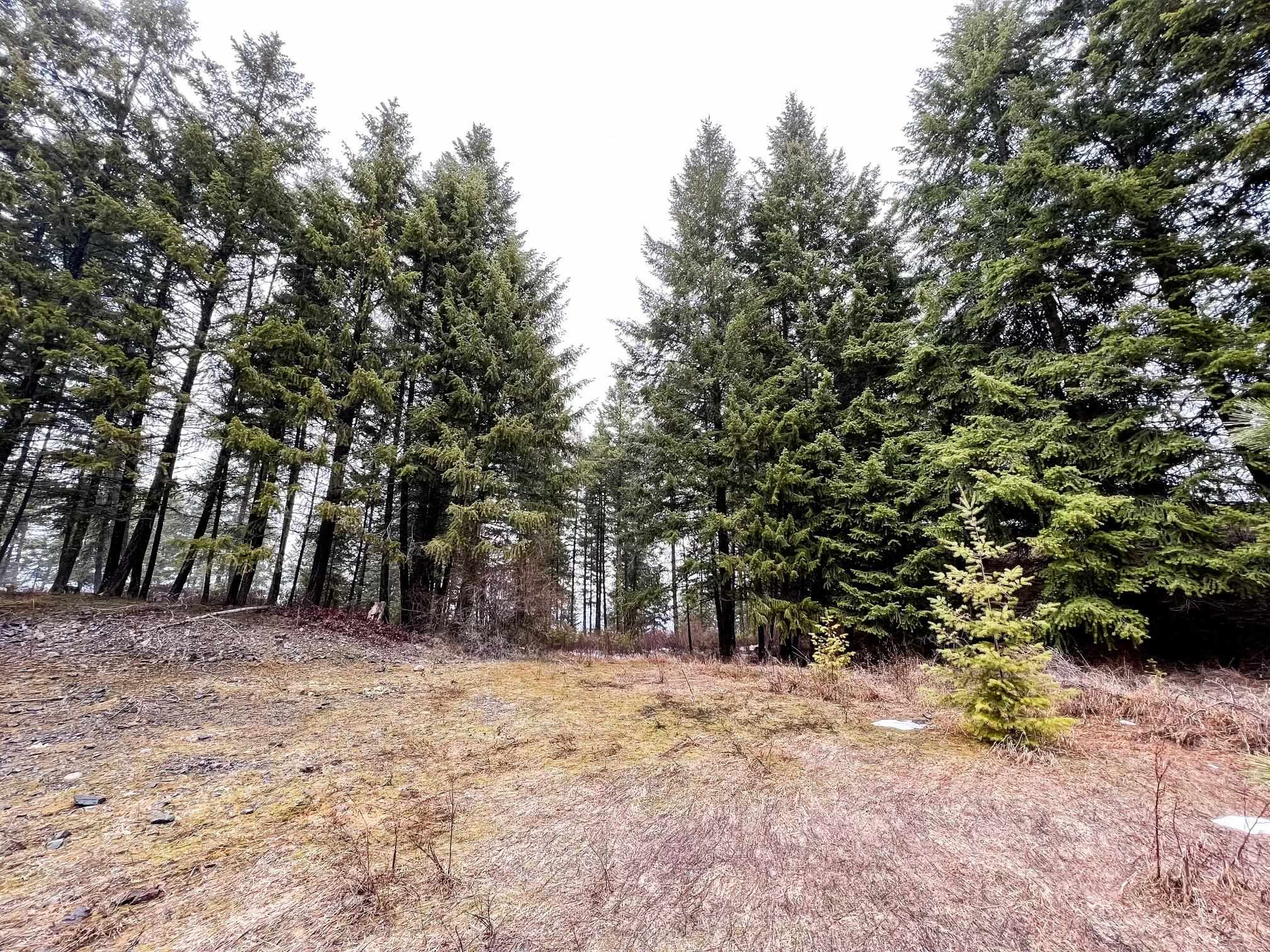 1274 F Mingo Mountain Road Kettle Falls, WA 99141 - Photo 6 of 21 Gallery Image 6