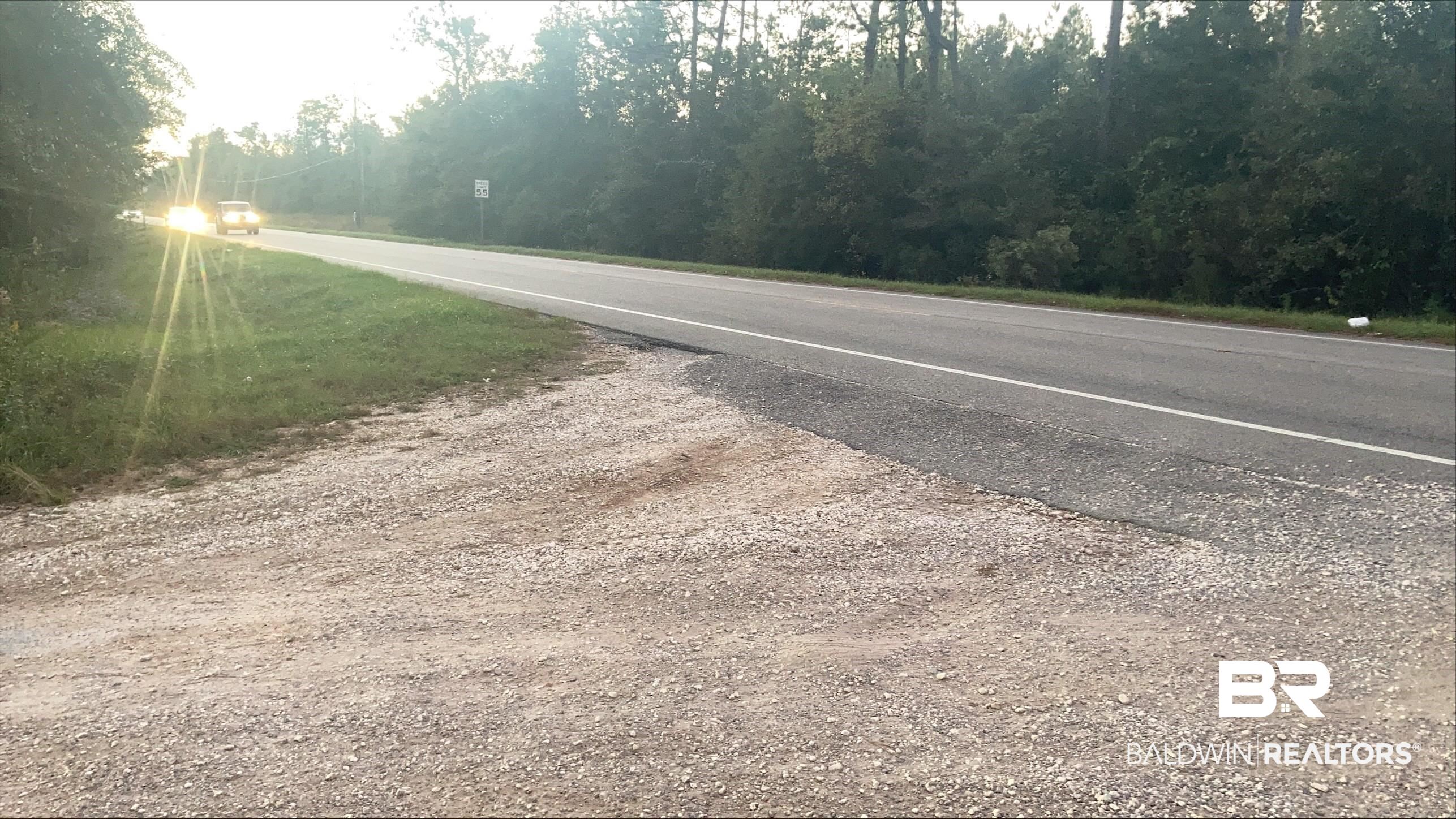 0 Dawes Road Theodore, AL 36582 - Photo 3 of 3