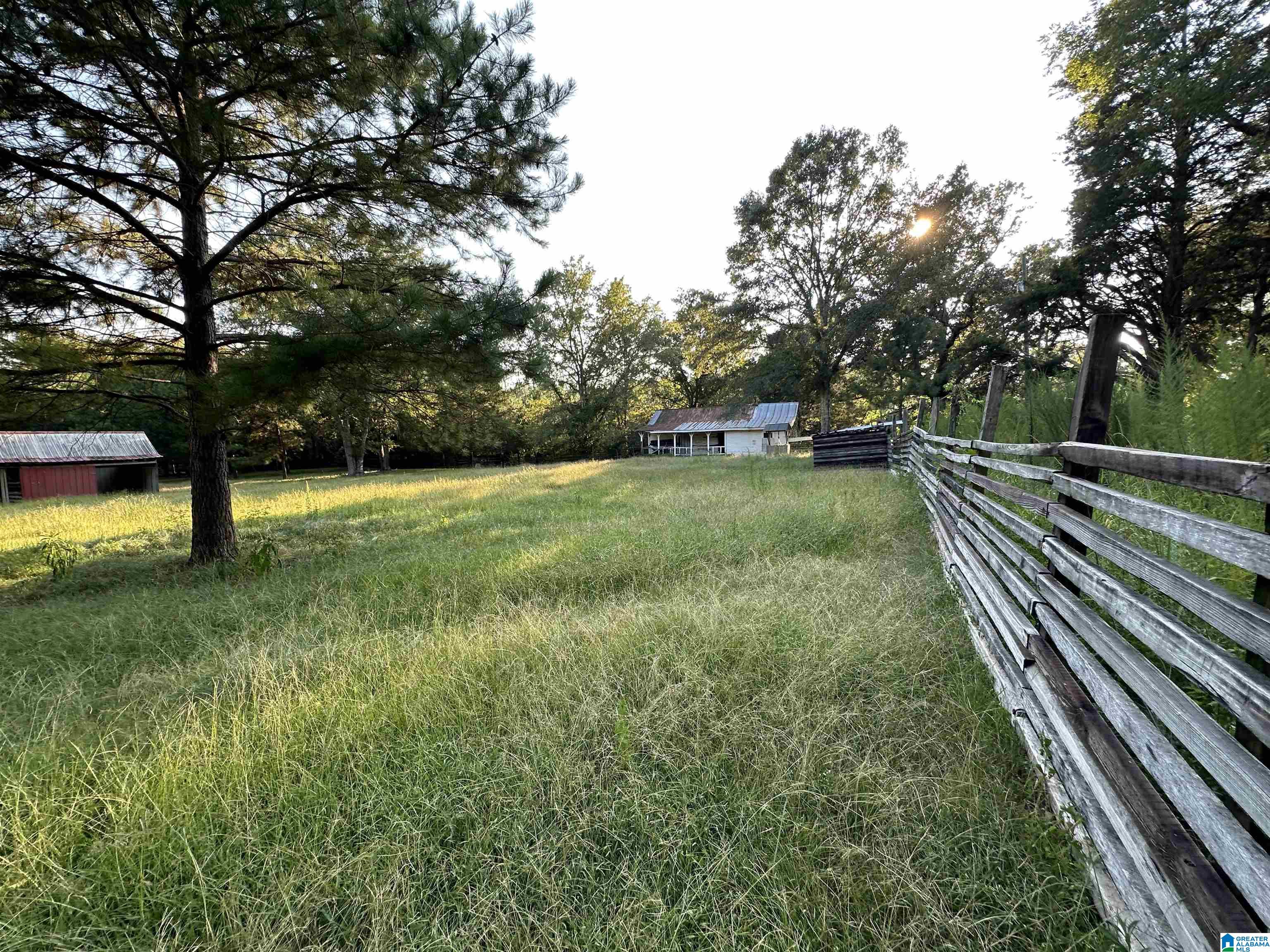0 Honeycut Road Randolph, AL 36792 - Photo 5 of 29