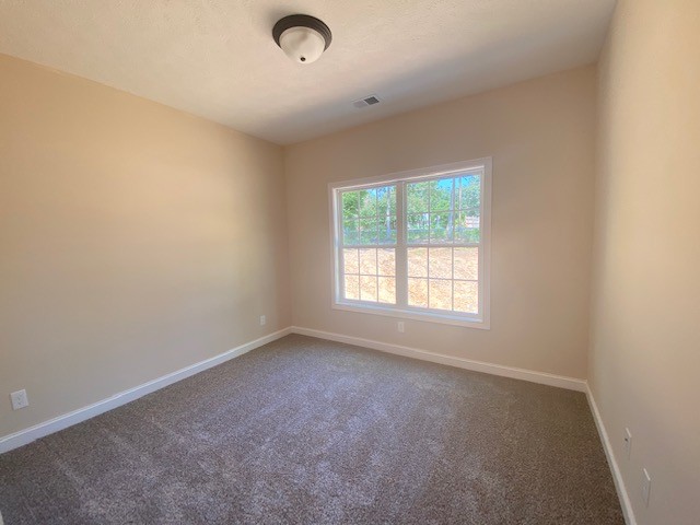 3365 Lylewood Road Woodlawn, TN 37191 - Photo 8 of 17 Gallery Image 8