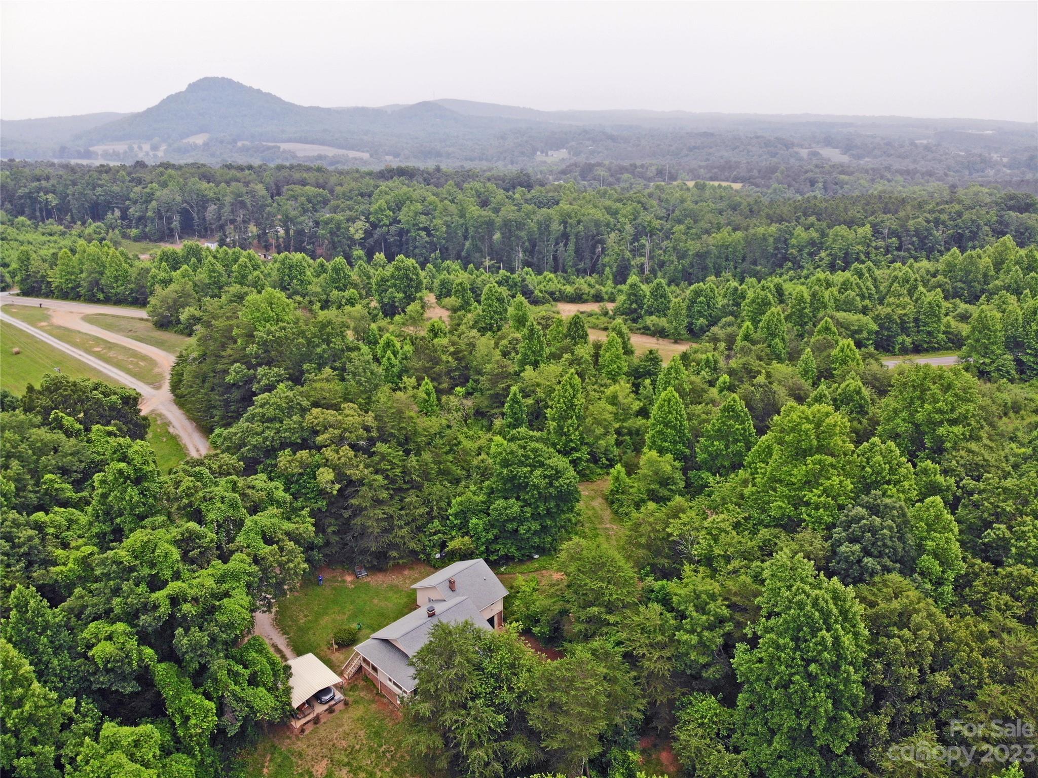 1151 Carpenters Grove Church Road Lawndale, NC 28090 - Photo 34 of 46 a view of a lush green field with a mountain in the background