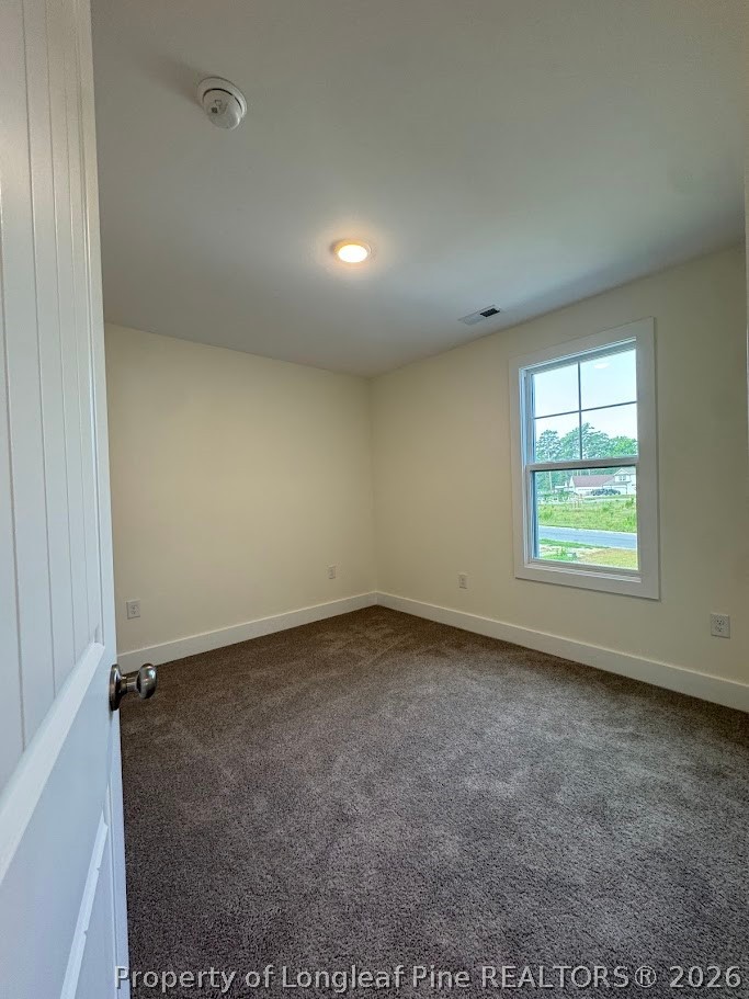 138 South View Spur Road Raeford, NC 28376 - Photo 10 of 17 Gallery Image 10