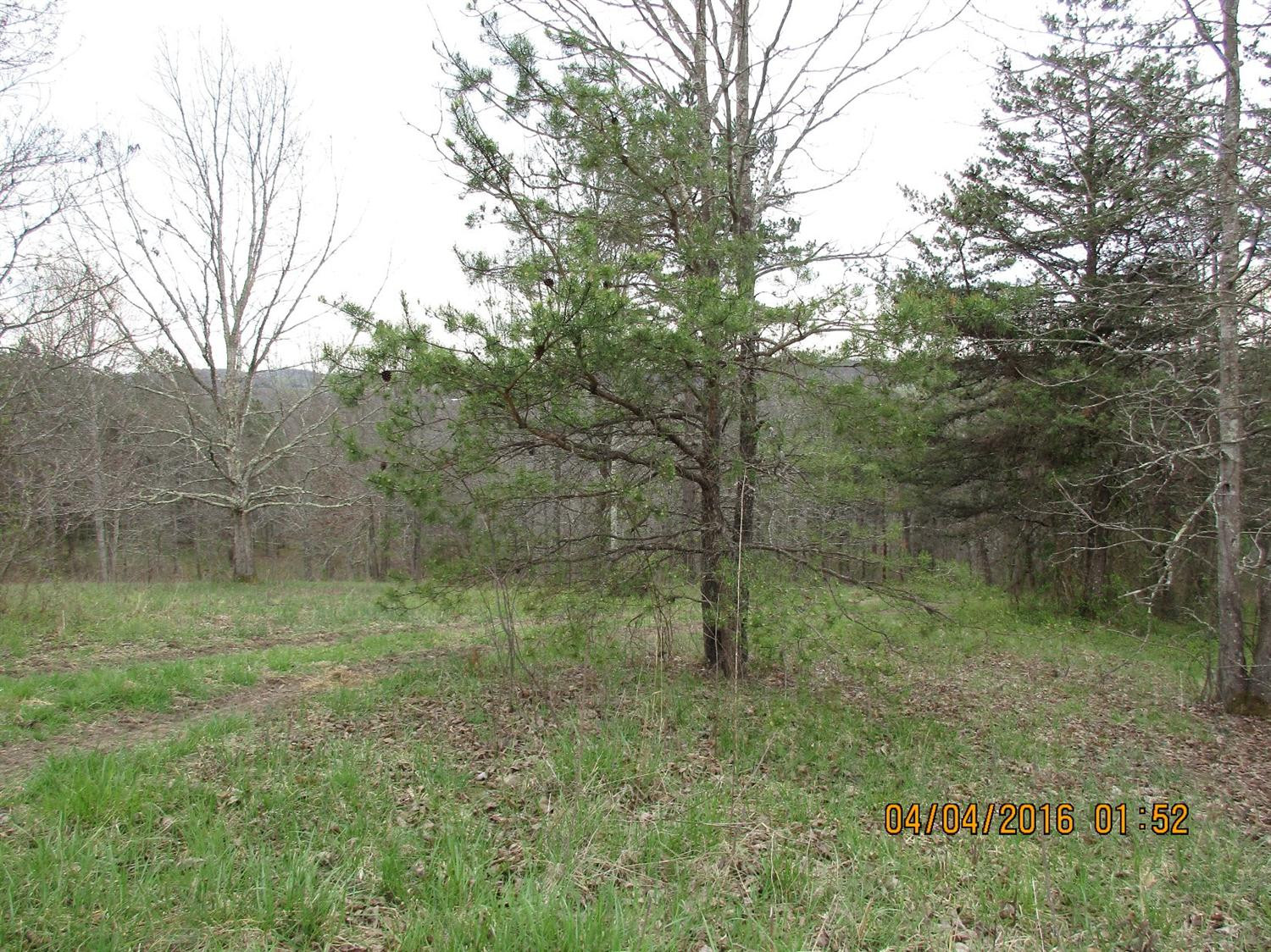 9999 Harris Road McKee, KY 40447 - Photo 33 of 48 Photo 33