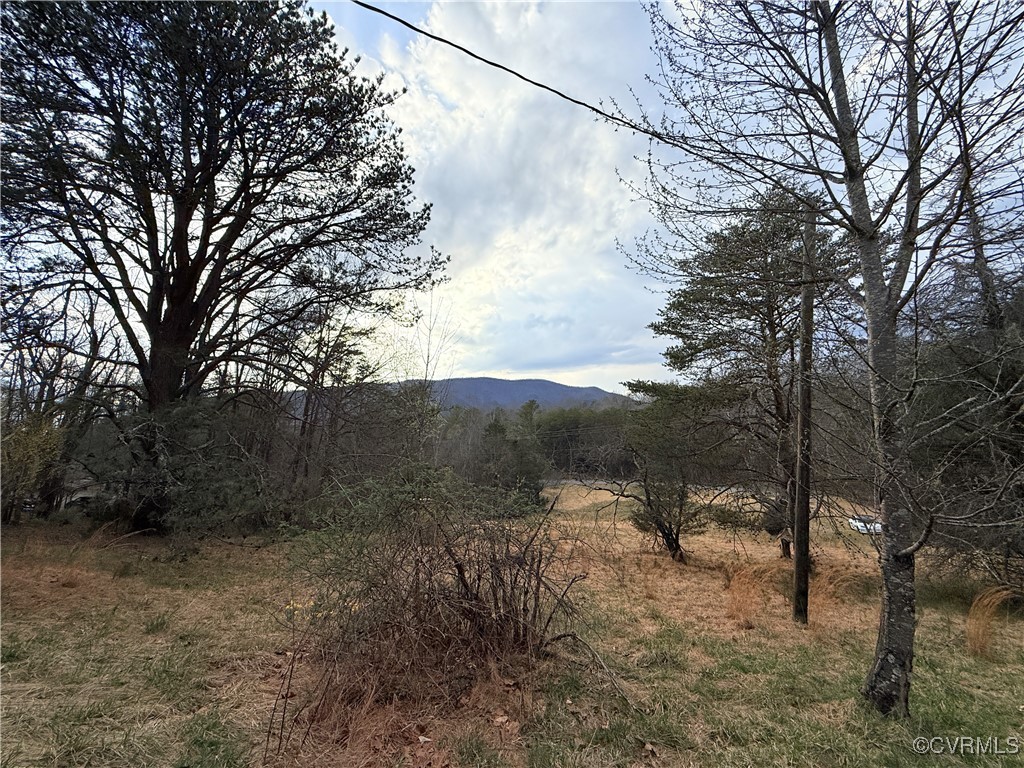 676 Arcadia Road Buchanan, VA 24066 - Photo 9 of 14 Gallery Image 9