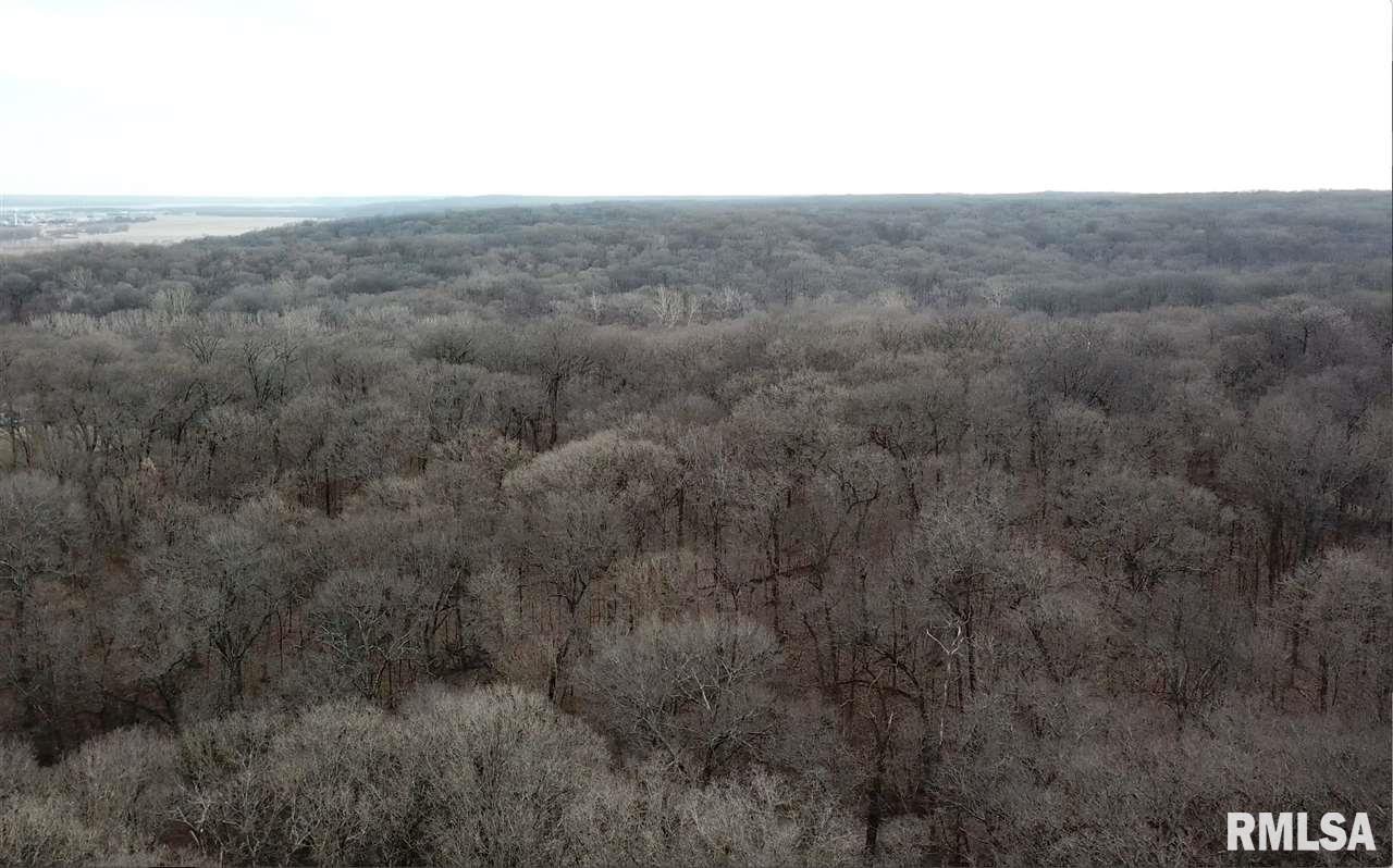 0 East Hicks Hollow Road Chillicothe, IL 61523 - Photo 12 of 34 Gallery Image 12