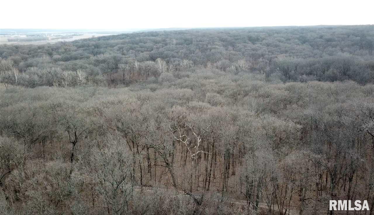 0 East Hicks Hollow Road Chillicothe, IL 61523 - Photo 14 of 34 Gallery Image 14