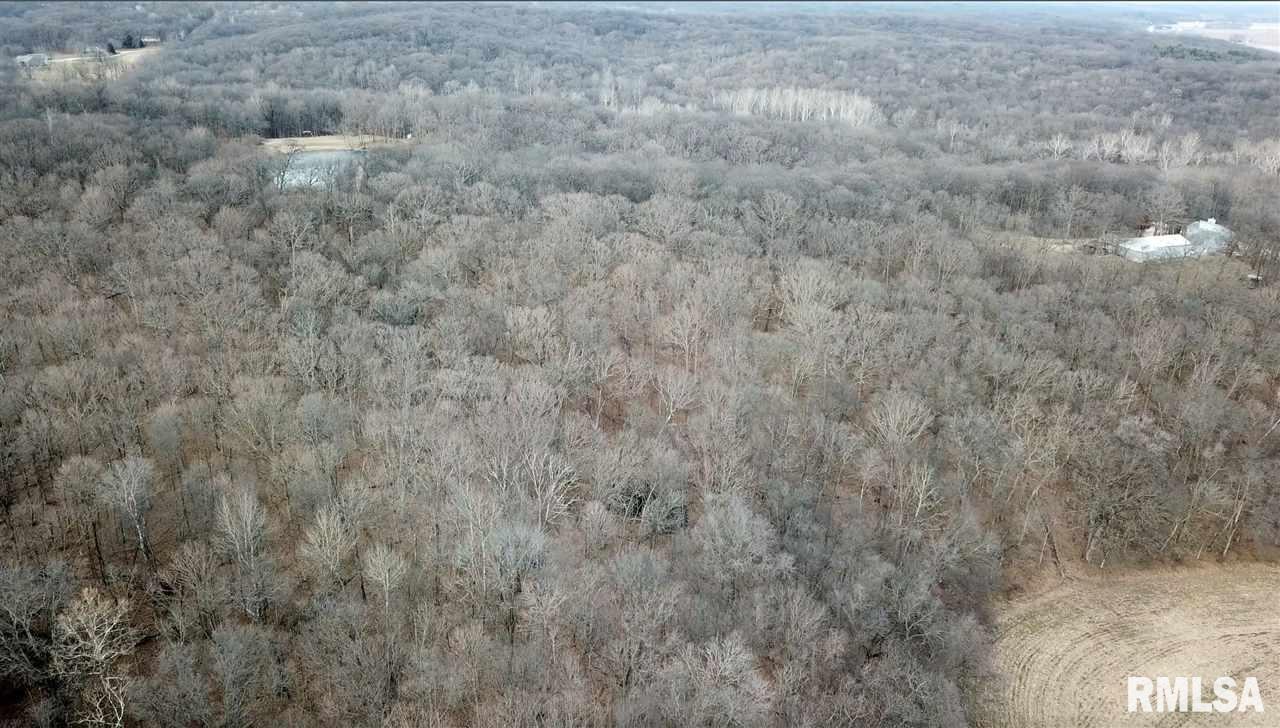 0 East Hicks Hollow Road Chillicothe, IL 61523 - Photo 19 of 34 Gallery Image 19