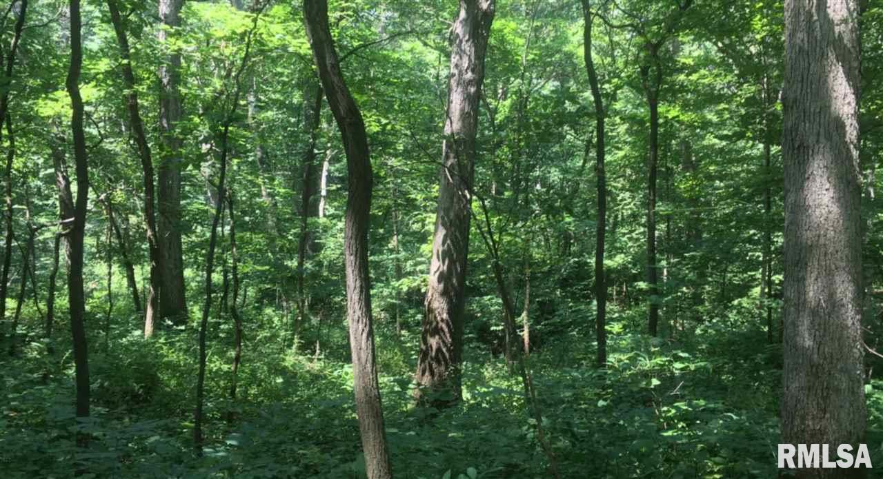 0 East Hicks Hollow Road Chillicothe, IL 61523 - Photo 34 of 34 Gallery Image 34