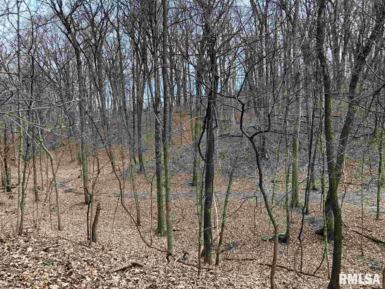 0 East Hicks Hollow Road Chillicothe, IL 61523 - Photo 4 of 34 Gallery Image 4