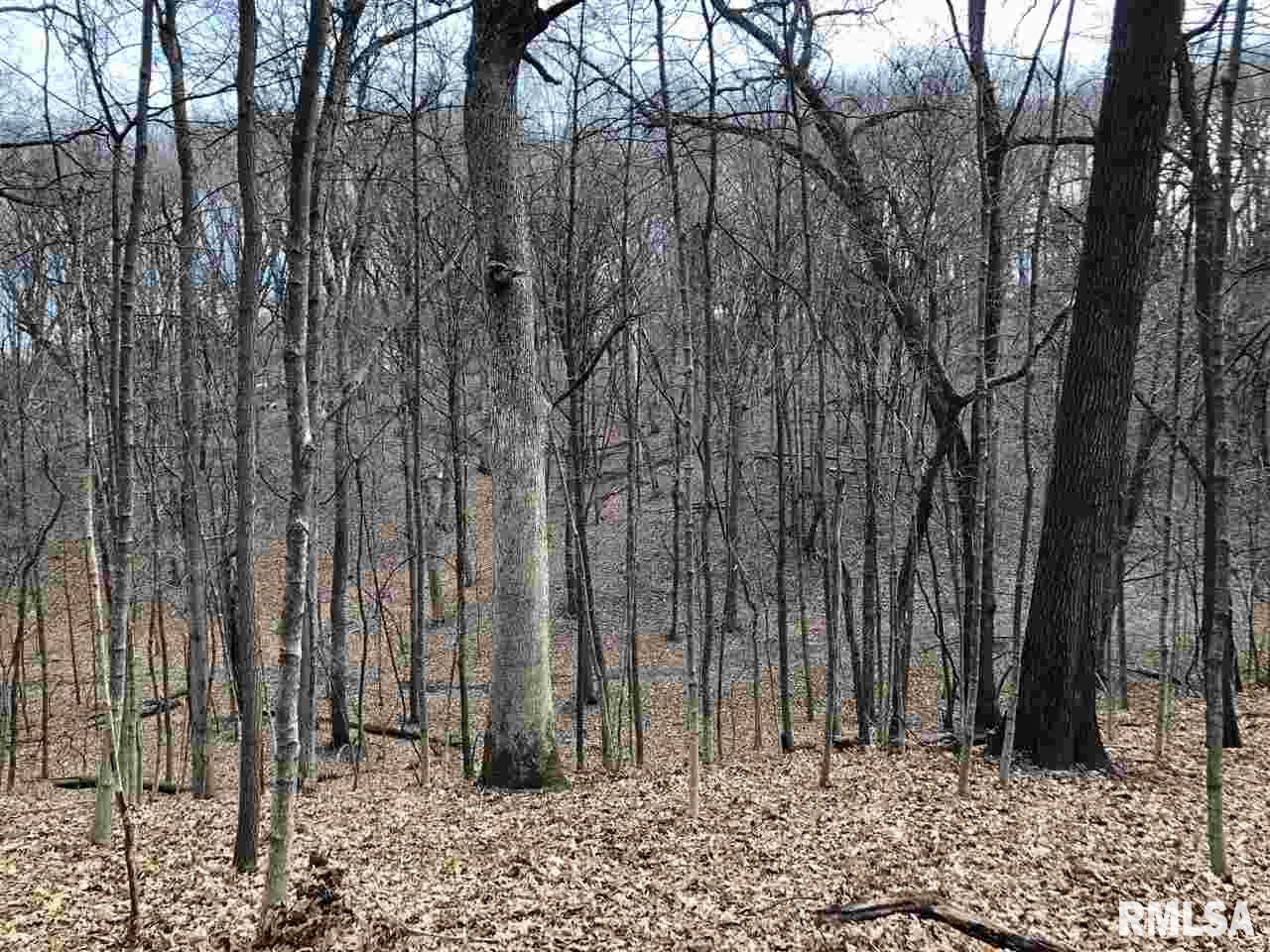 0 East Hicks Hollow Road Chillicothe, IL 61523 - Photo 7 of 34 Gallery Image 7