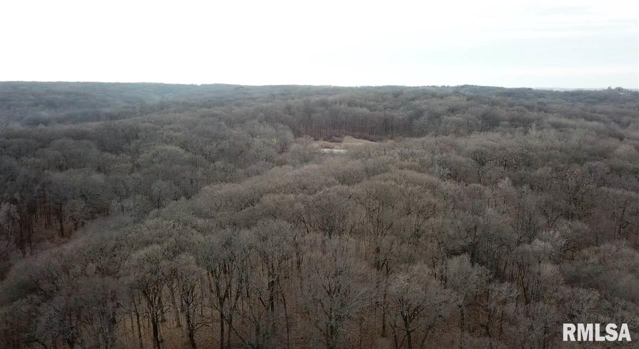 0 East Hicks Hollow Road Chillicothe, IL 61523 - Photo 10 of 34 Gallery Image 10