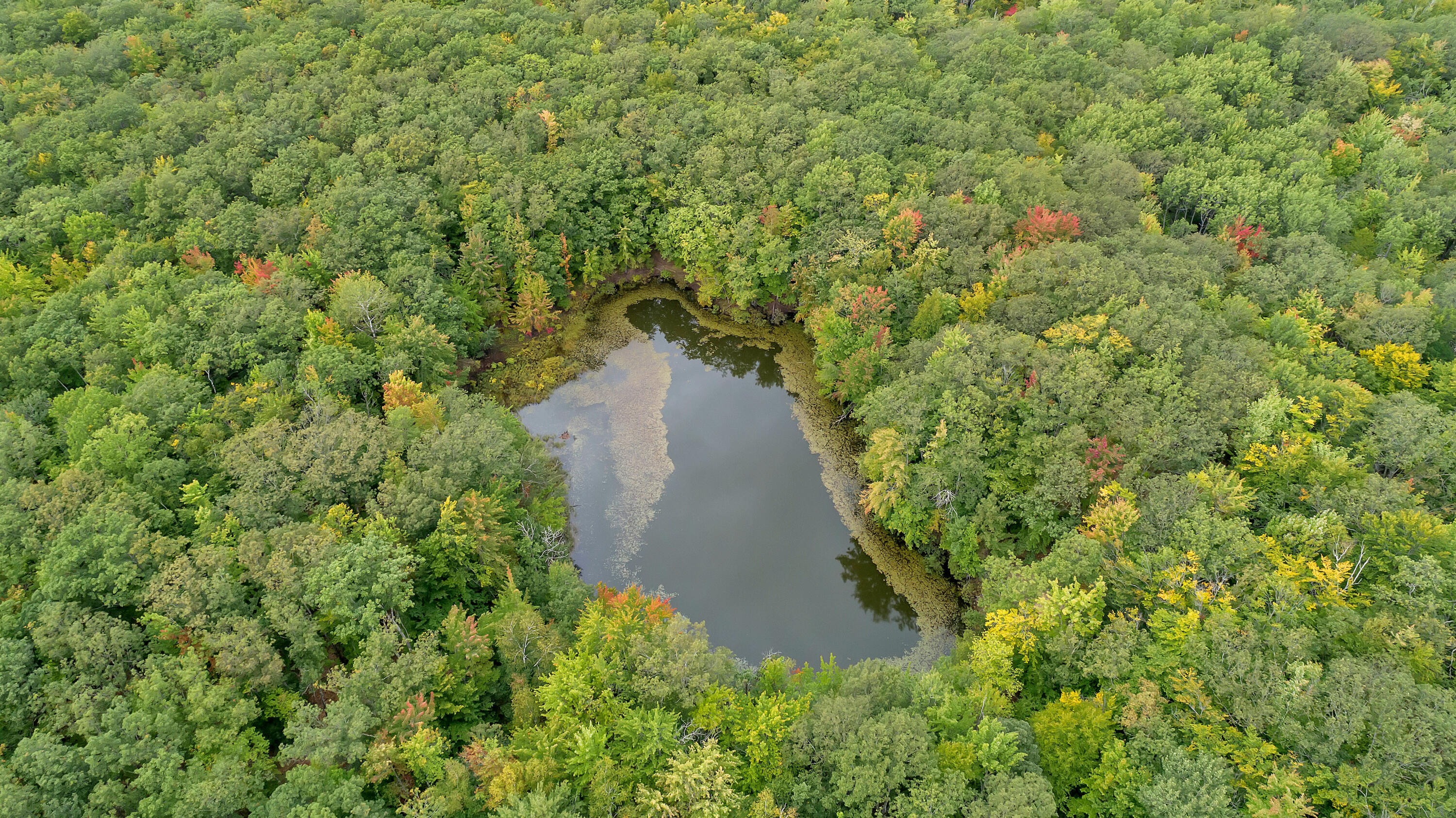 331 Brock Road Lyman, ME 04002 - Photo 55 of 62 DJI_0085