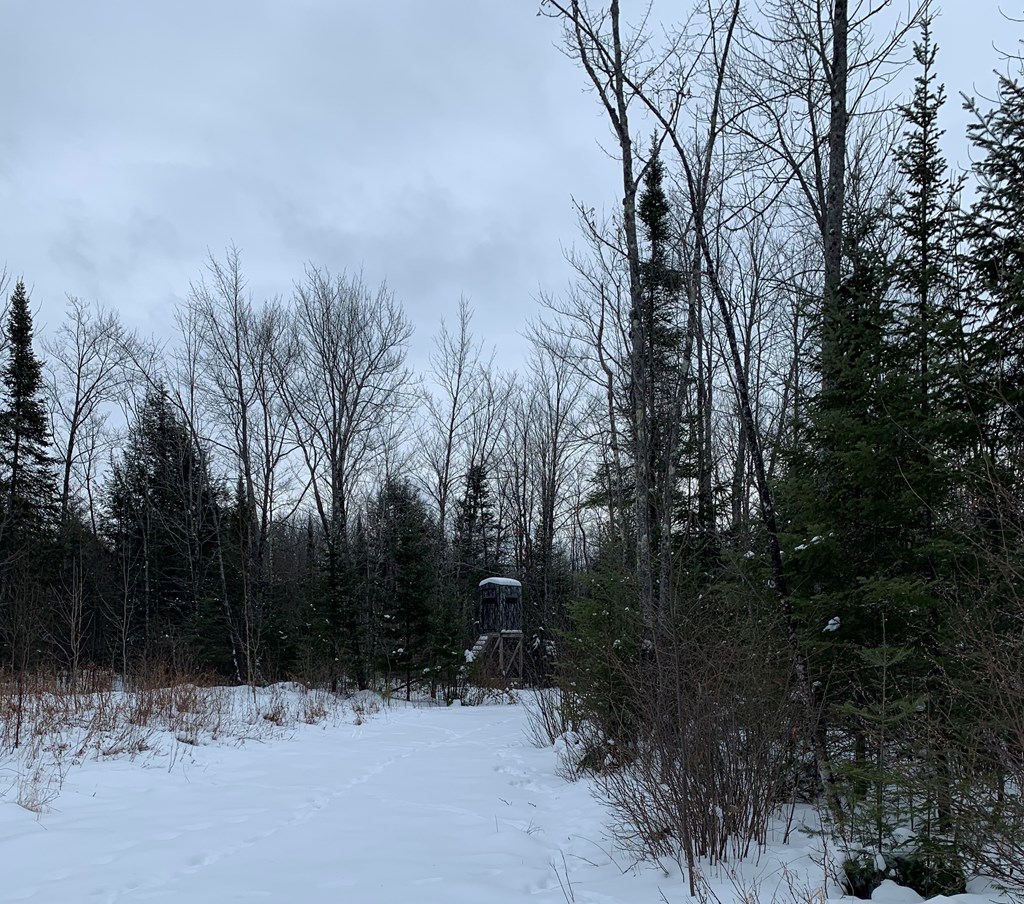 0 Other Butternut, WI 54514 - Photo 15 of 21