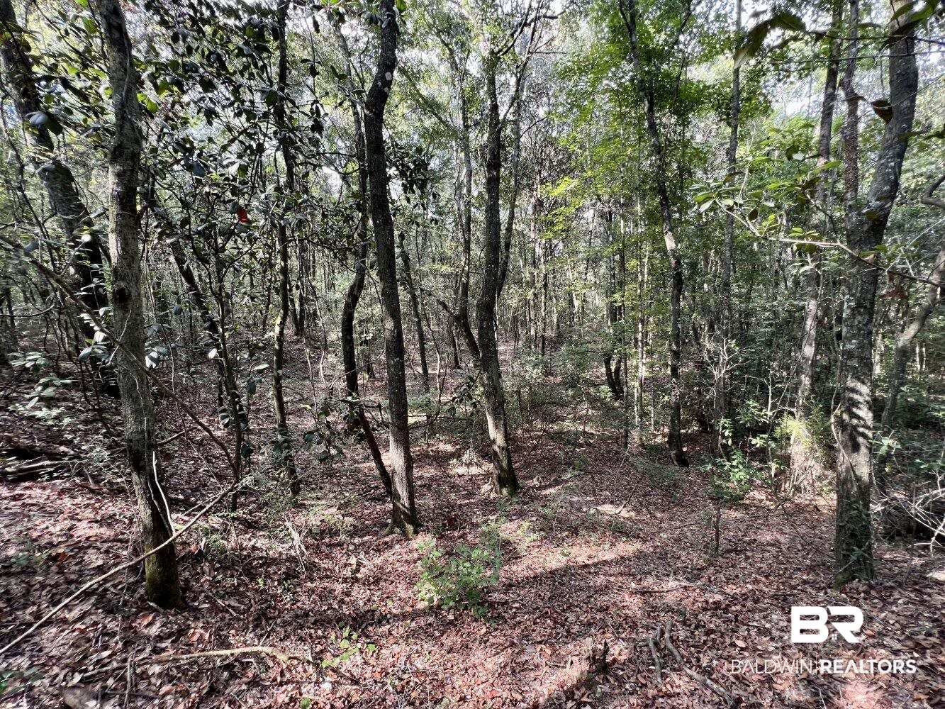 0 Bear Fork Road Mobile, AL 36618 - Photo 25 of 50