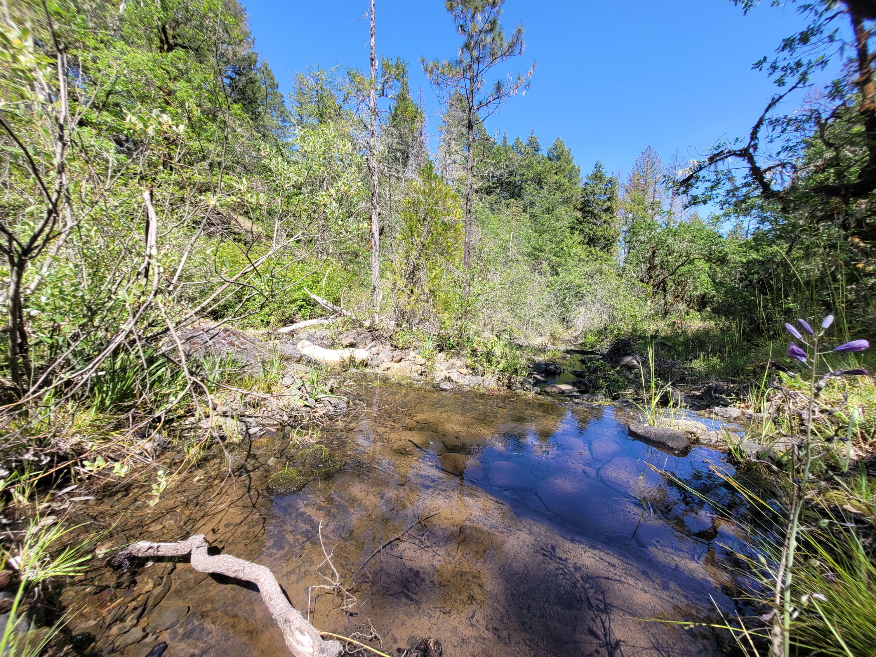 6277 West Side Road Cave Junction, OR 97523 - Photo 5 of 19 1.5