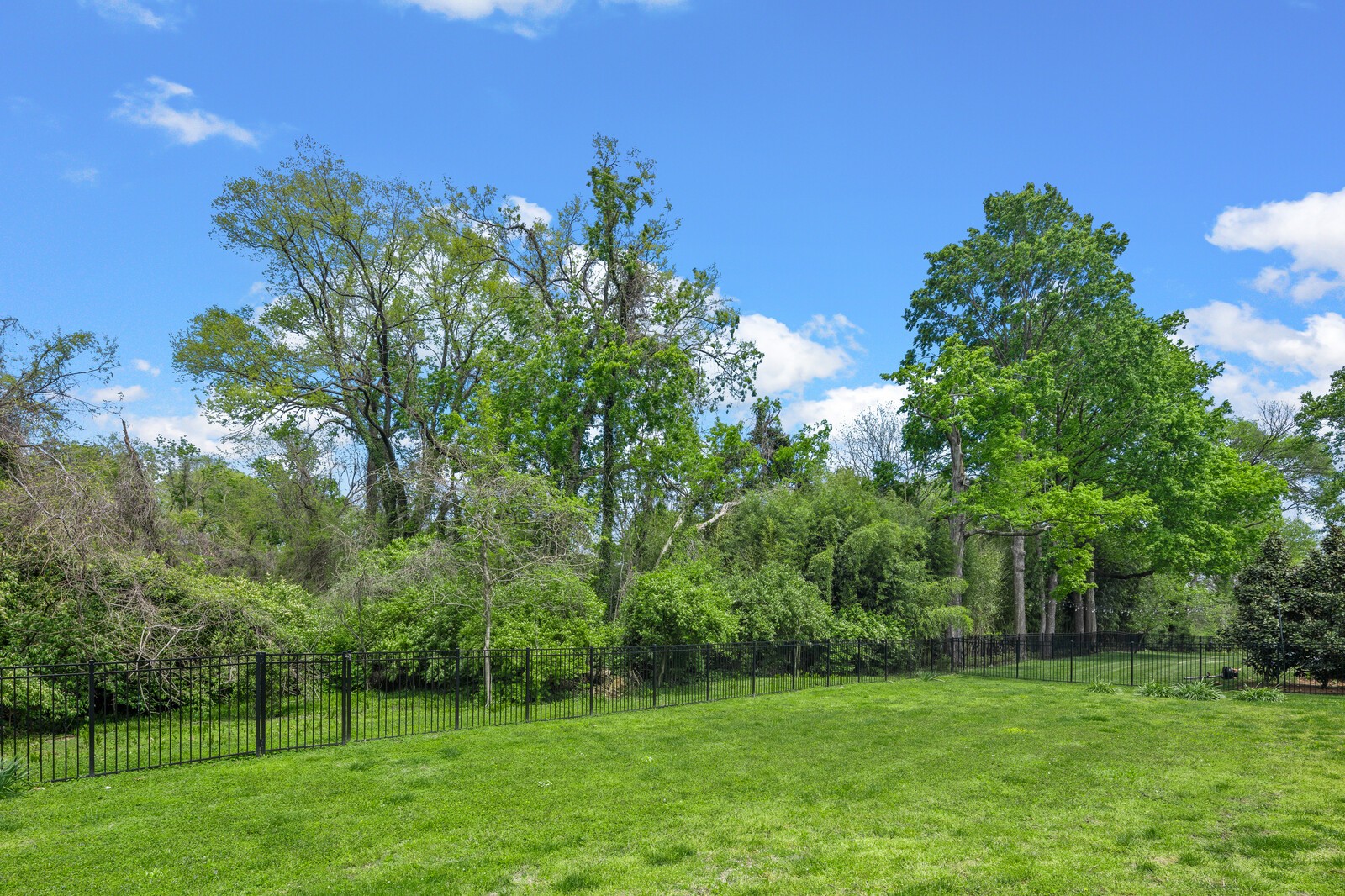 926 Evans Road Nashville, TN 37204 - Photo 45 of 53 a view of a grassy field with trees in the background