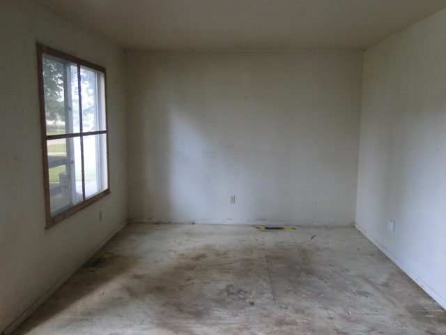 31390476-2.JPG