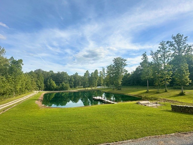 14021 Peachstone Road Crawford, TN 38554 - Photo 6 of 20 a view of a swimming pool with a yard