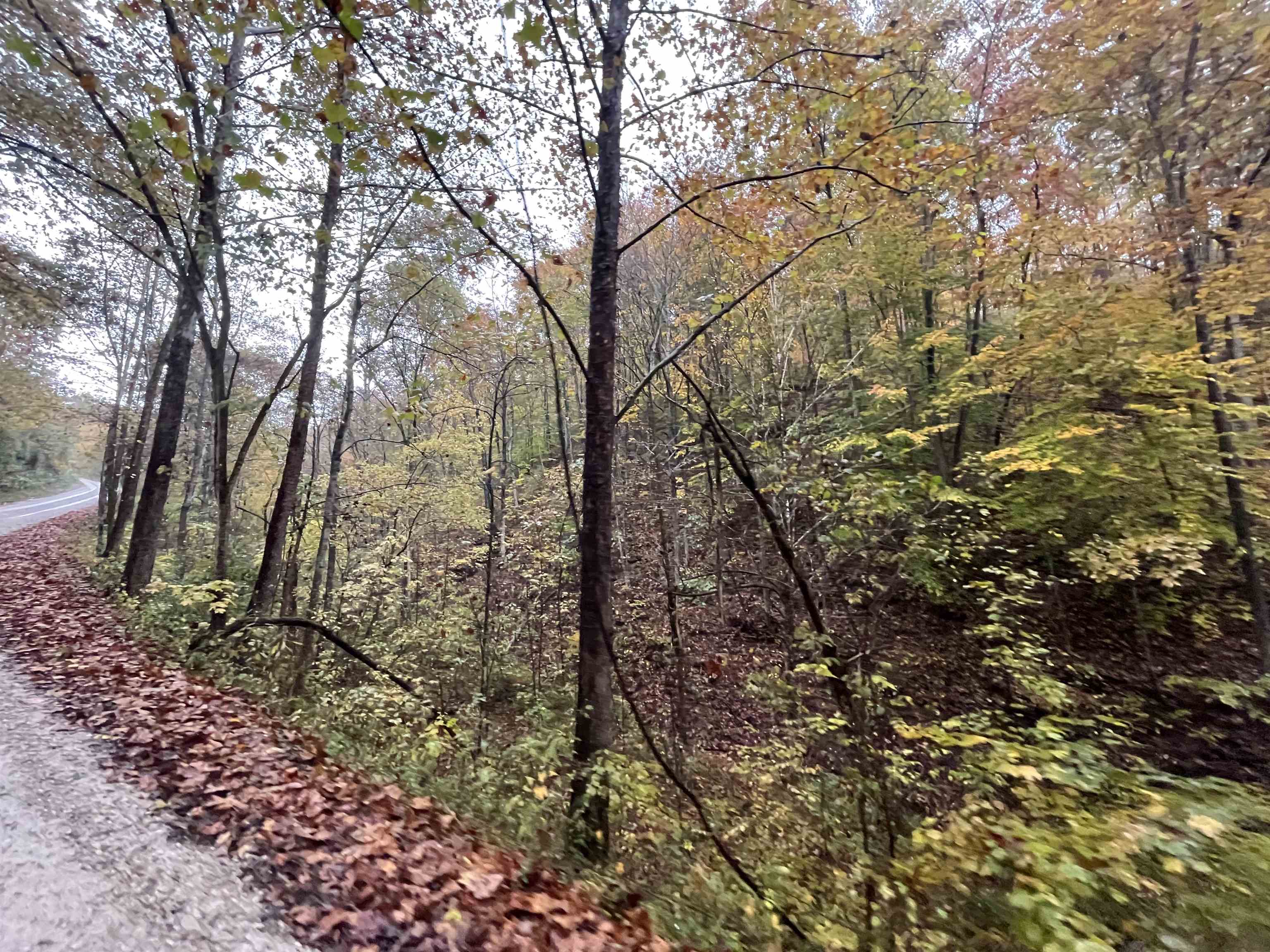 0 Sawpit Road Greenup, KY 41144 - Photo 1 of 8 Gallery Image 1