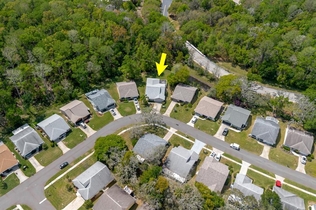 11521 Rose Tree Drive New Port Richey, FL 34654 - Photo 20 of 37 an aerial view of residential house with outdoor space and trees all around