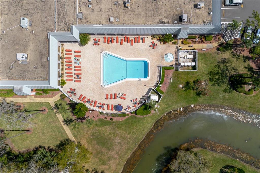 11521 Rose Tree Drive New Port Richey, FL 34654 - Photo 22 of 37 an aerial view of a house with a yard swimming pool and outdoor seating