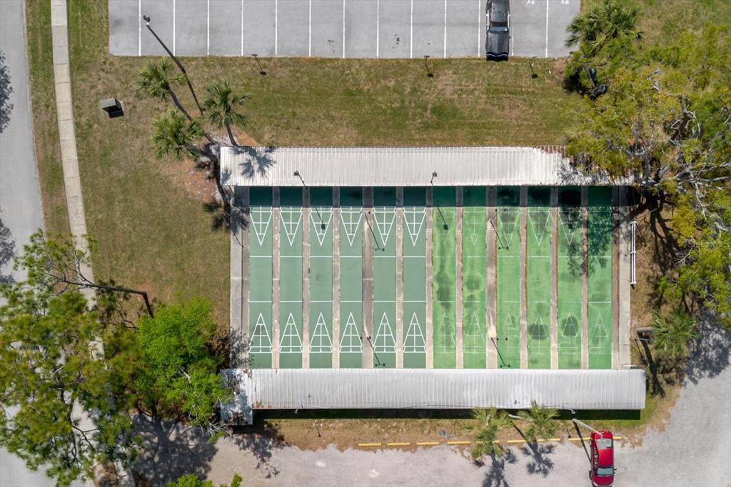 11521 Rose Tree Drive New Port Richey, FL 34654 - Photo 31 of 37 a view of balcony with a potted plant