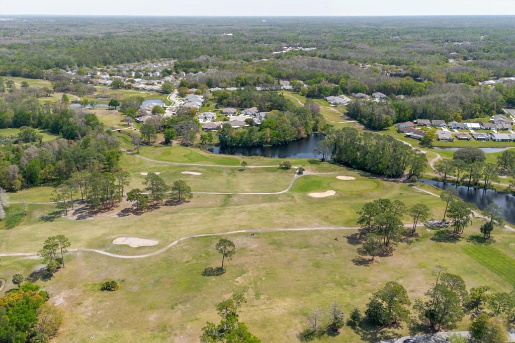 11521 Rose Tree Drive New Port Richey, FL 34654 - Photo 32 of 37 a view of a lake view