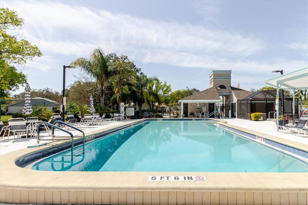 11521 Rose Tree Drive New Port Richey, FL 34654 - Photo 36 of 37 a view of a swimming pool with chairs