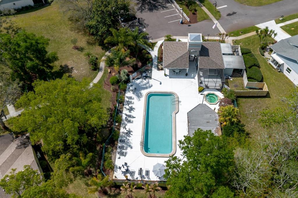 11521 Rose Tree Drive New Port Richey, FL 34654 - Photo 37 of 37 an aerial view of a house with yard swimming pool and outdoor seating