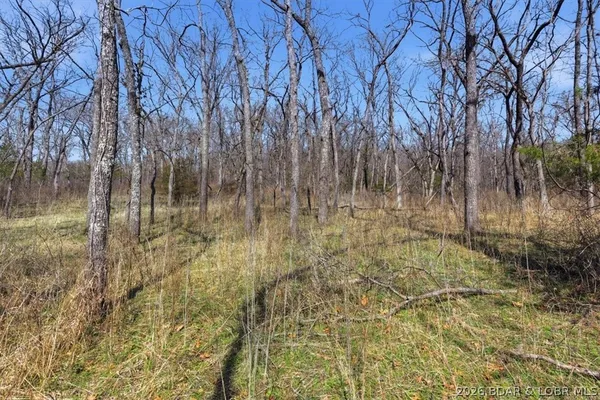 $1,450,000 | 40773 Waisner Avenue, Edwards, MO 65326