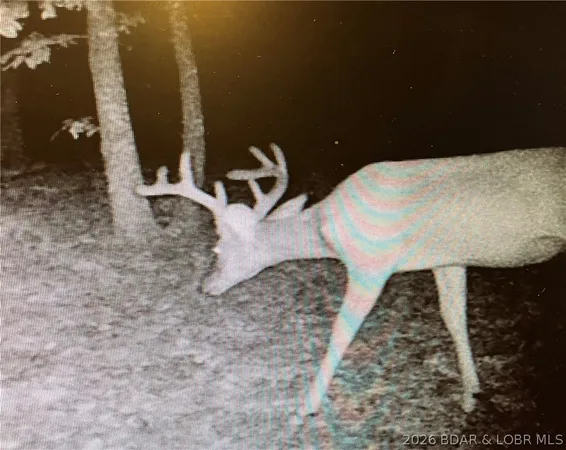 $1,450,000 | 40773 Waisner Avenue, Edwards, MO 65326