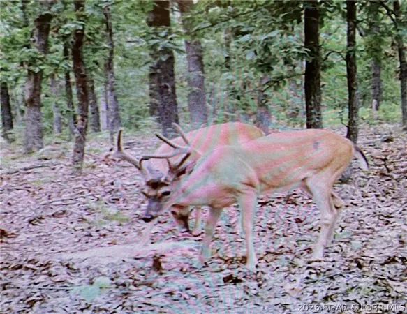 $1,450,000 | 40773 Waisner Avenue, Edwards, MO 65326