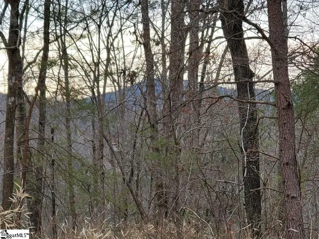 $145,000 | 0 Emerald Crest Lane, Cleveland, SC 29635