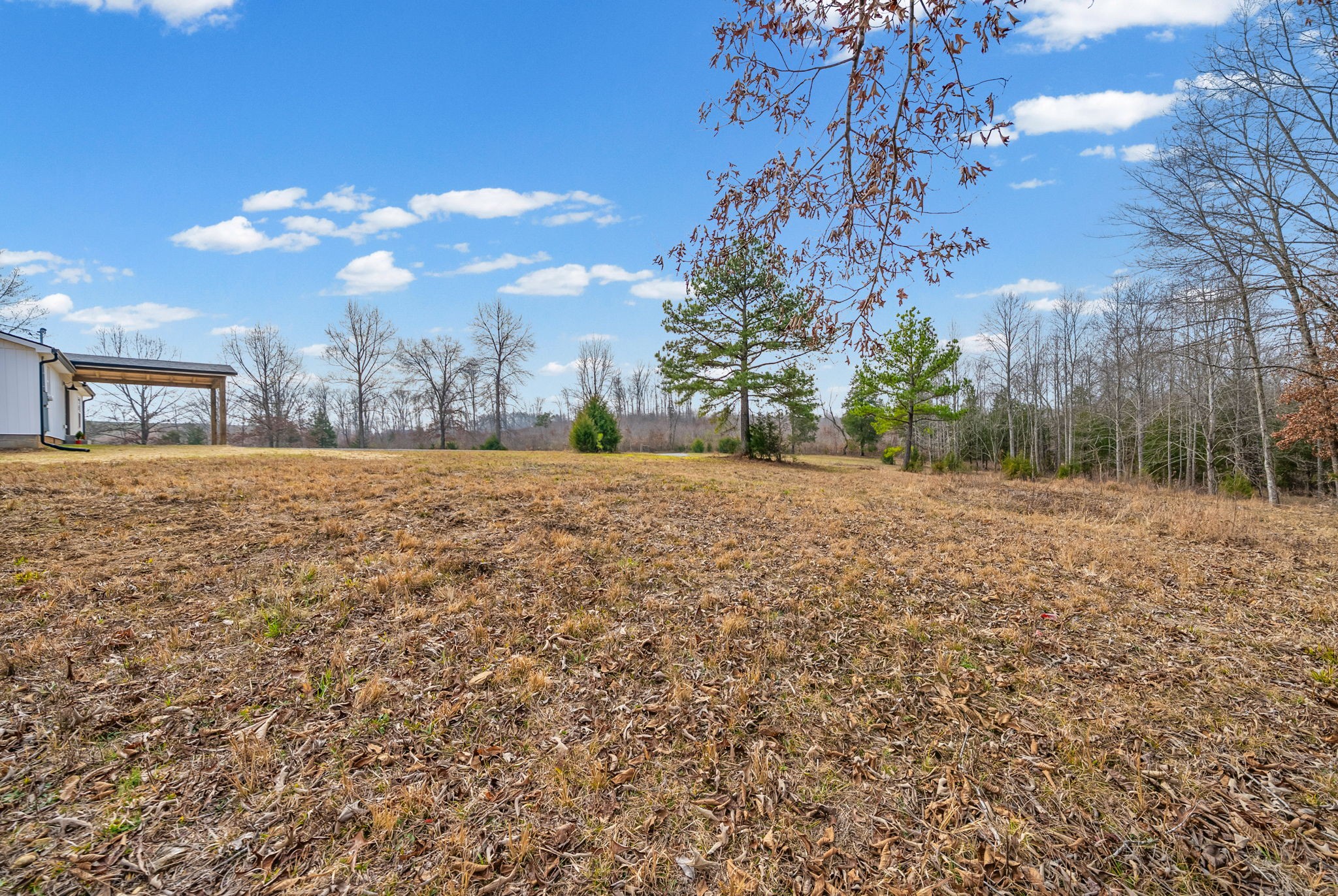 84 Sam Mathis Road Erin, TN 37061 - Photo 6 of 29 Gallery Image 6