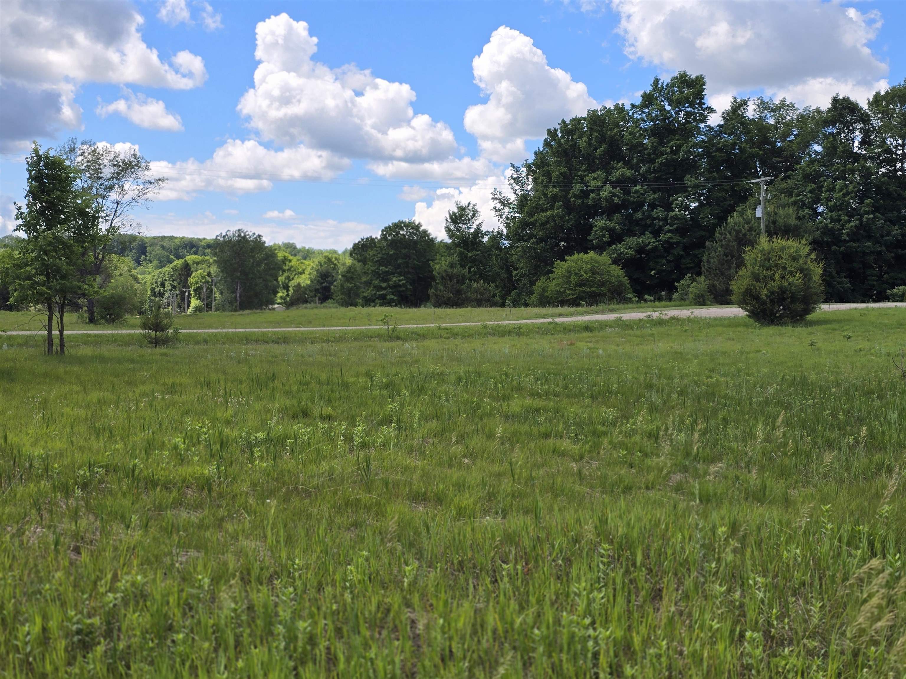 Kay Road Guthrie Road Mesick, MI 49668 - Photo 2 of 10