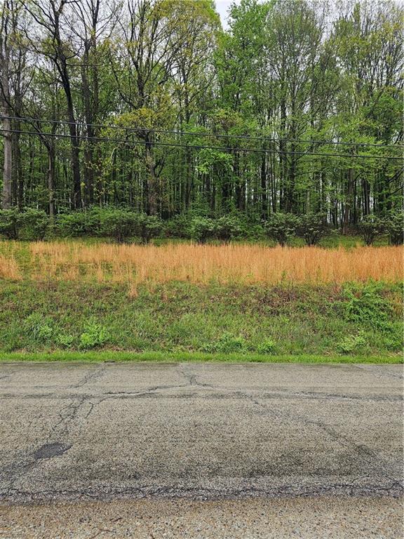 691 Old State Rte 66 Greensburg, PA 15601 - Photo 8 of 27 Blueberry bushes across the road