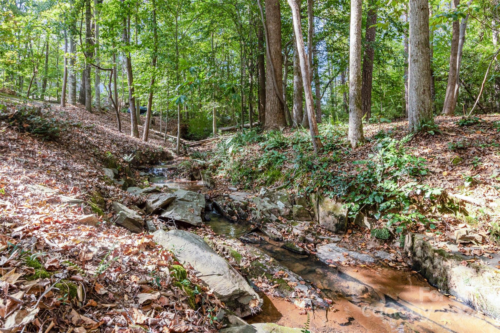 808 Dogwood Drive Lowell, NC 28098 - Photo 34 of 36 a garden with lots of trees