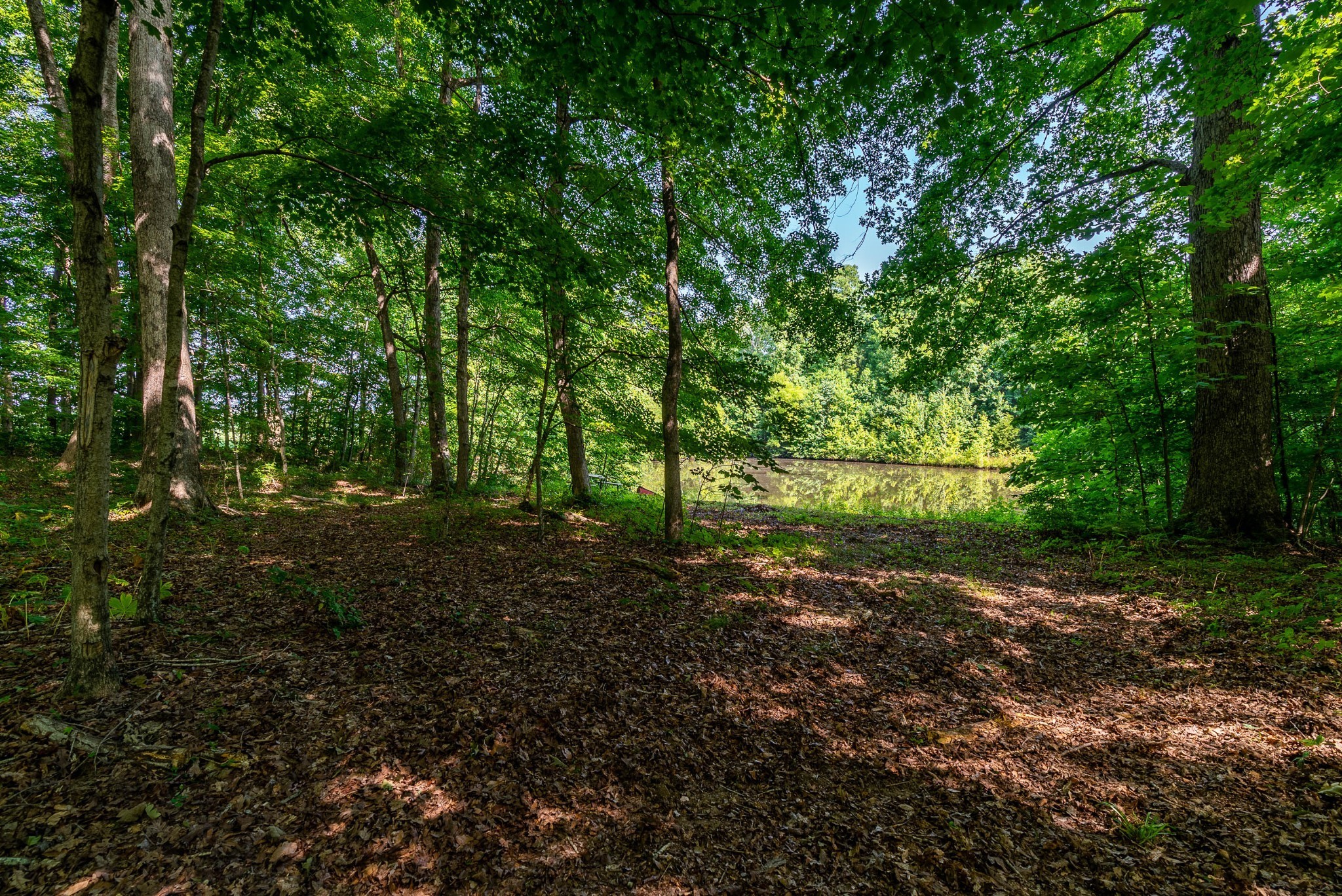 1000 Charlie Reed Road Chapmansboro, TN 37035 - Photo 33 of 41 Gallery Image 33