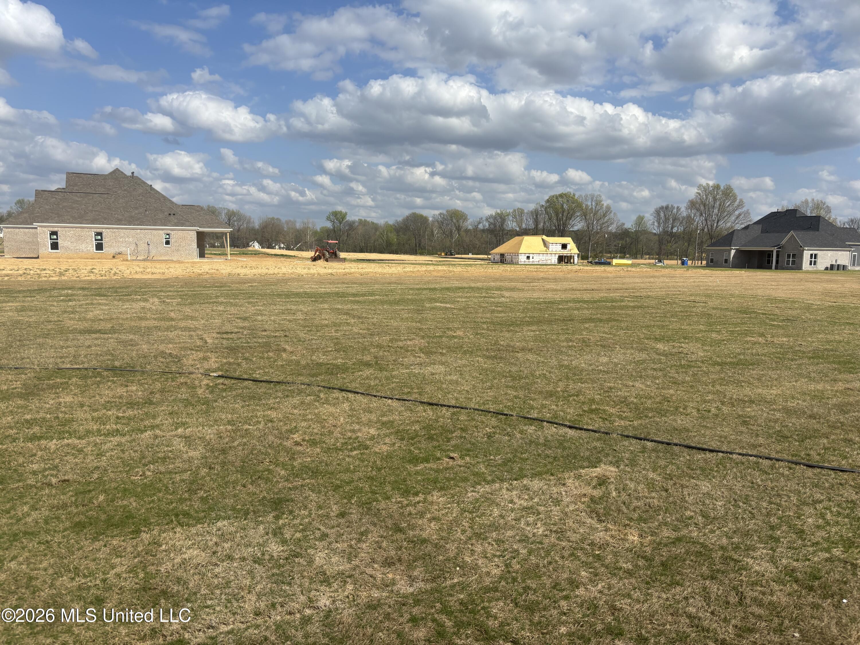 5184 Crick Lane Hernando, MS 38632 - Photo 29 of 29 IMG_3696