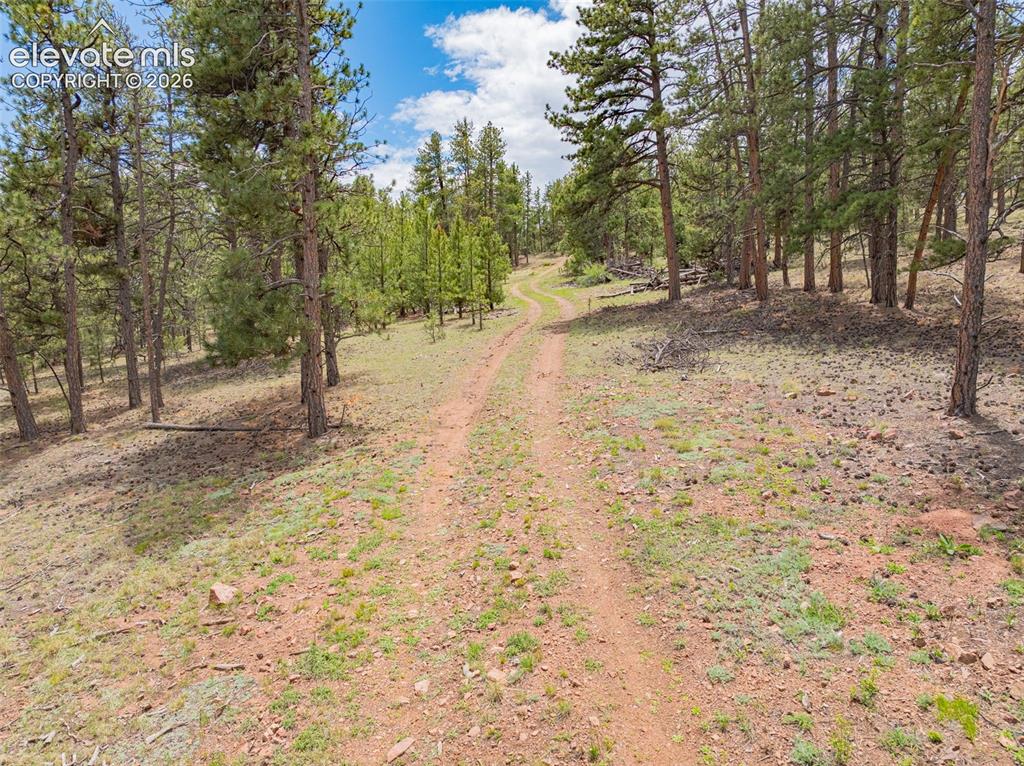 4250 Doe Valley Road Guffey, CO 80820 - Photo 22 of 35