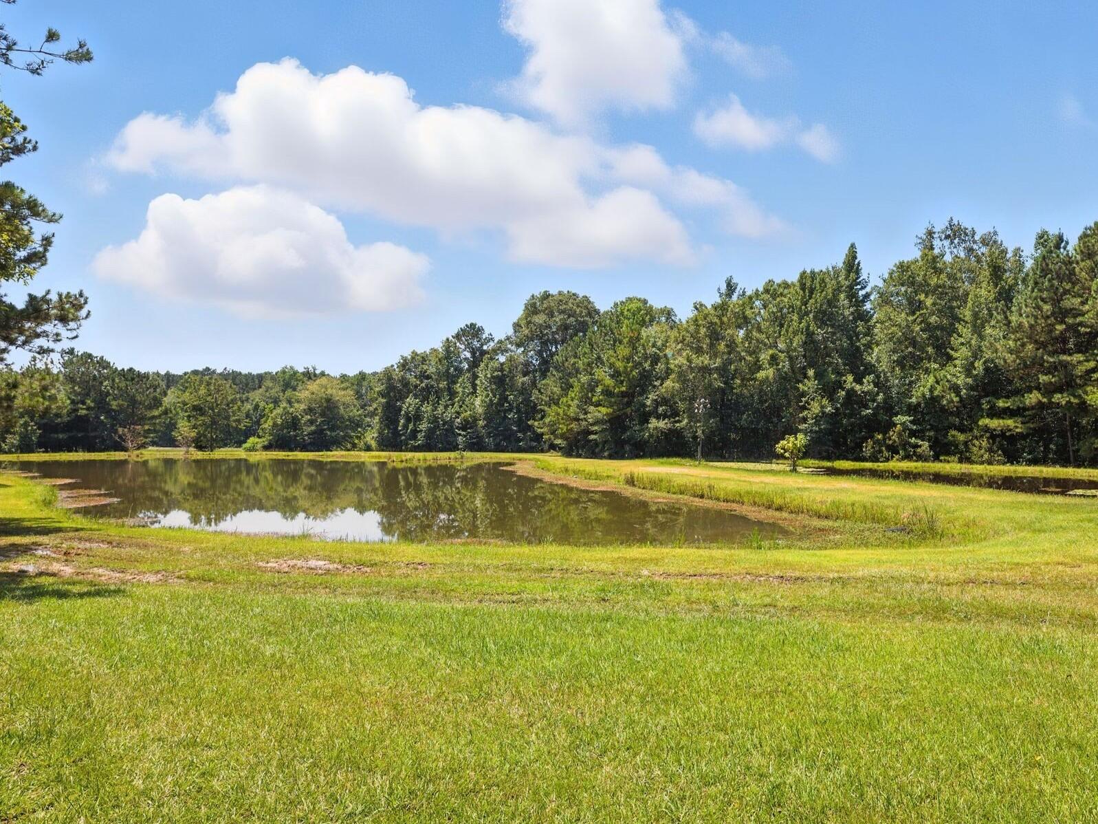 128 State Rd S-38-1893 Orangeburg, SC 29115 - Photo 23 of 24 Gallery Image 23