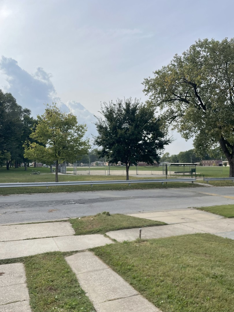 14647 Irving Avenue Dolton, IL 60419 - Photo 4 of 24 a view of a yard