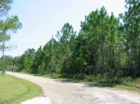 5 Monarch Drive Santa Rosa Beach, FL 32459 - Photo 1 of 1 Gallery Image 1