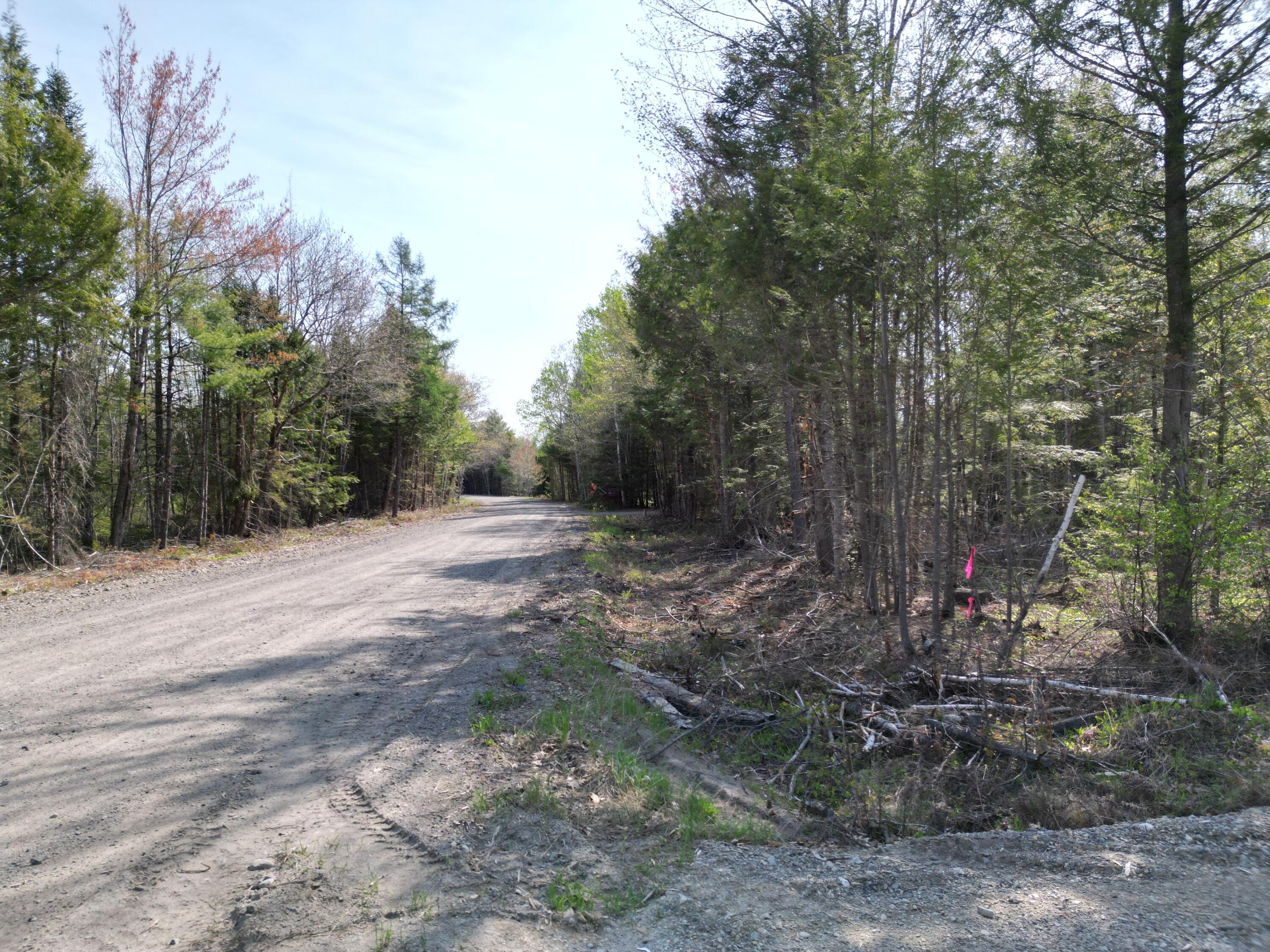 Lot 1 Mattamiscontis Road Howland, ME 04448 - Photo 2 of 15 DJI_0509