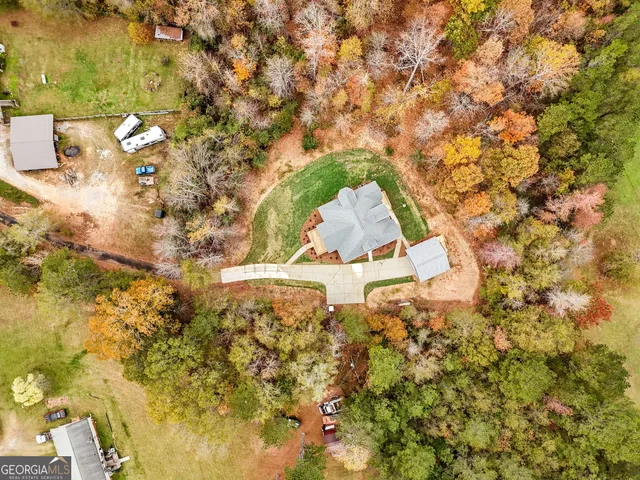 a view of a tree with a yard
