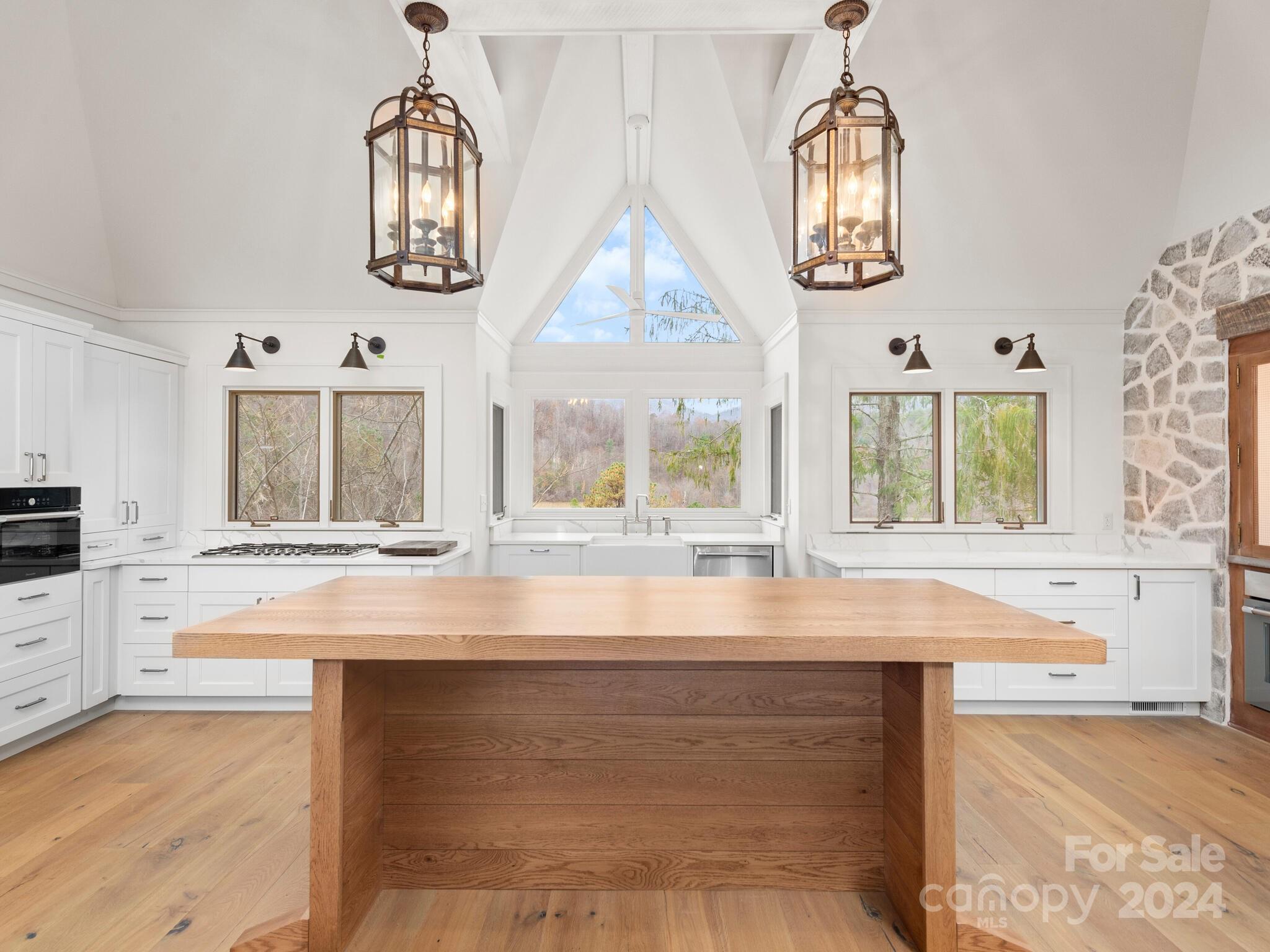 204 Potato Branch Road Leicester, NC 28748 - Photo 3 of 32 Gallery Image 3