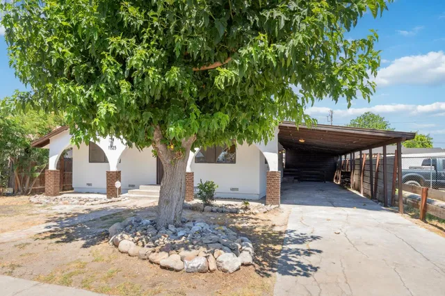 a view of a backyard with a tree