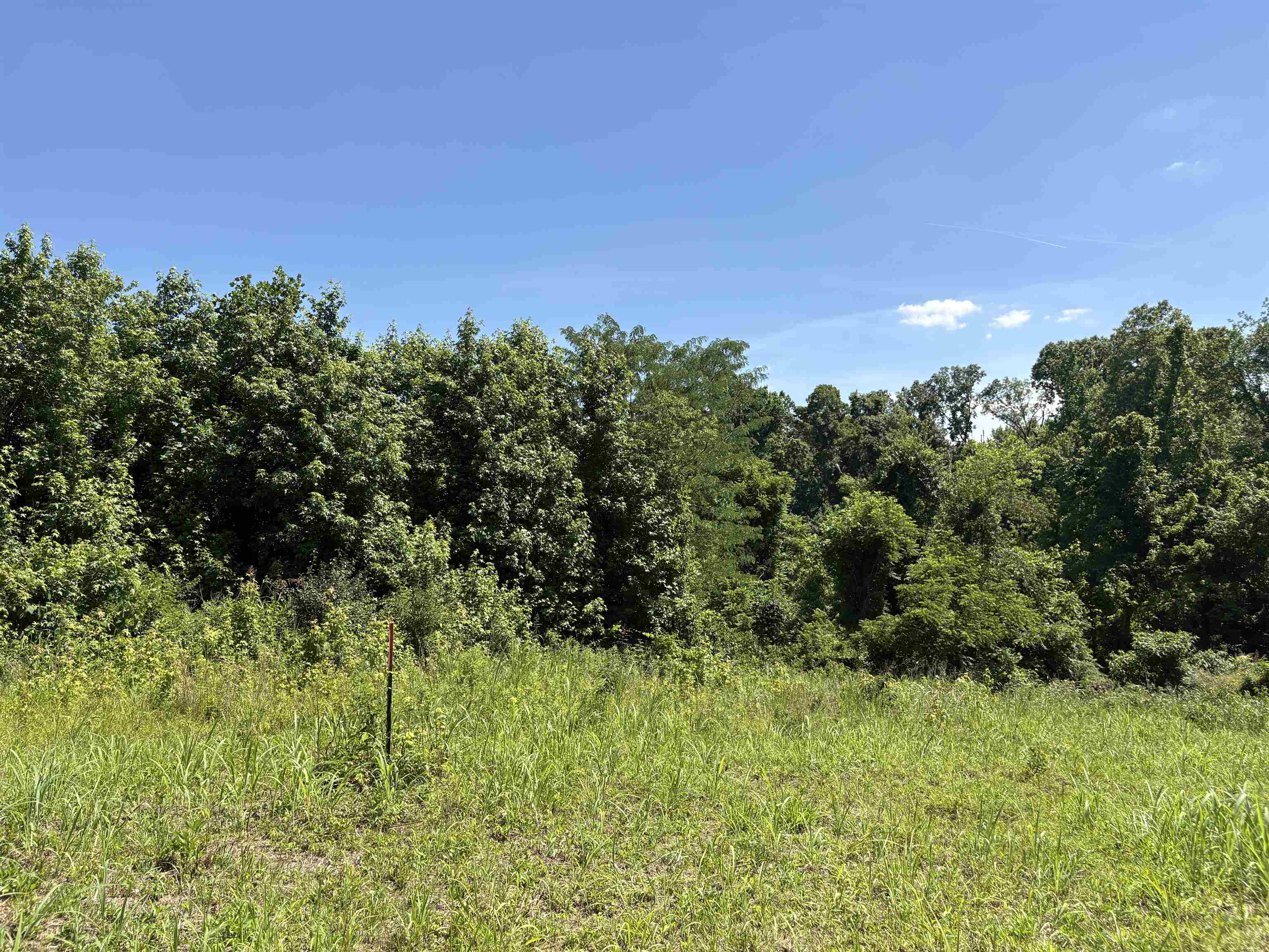 0 Walsh Road, Unit LOT 2 Millington, TN 38053 - Photo 4 of 9