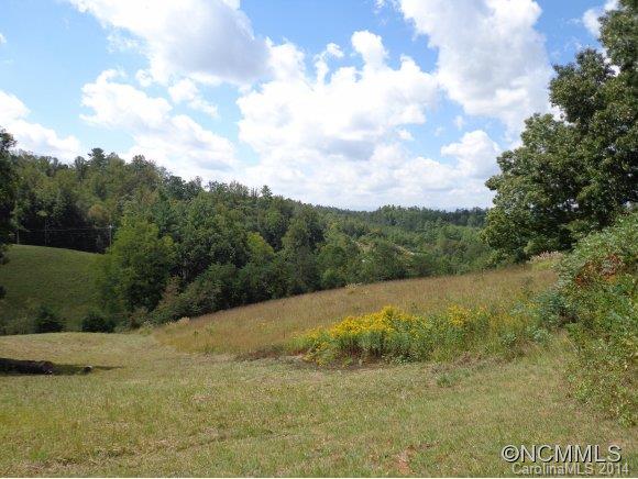 Tbd Sams Road Weaverville, NC 28787 - Photo 1 of 3 Gallery Image 1