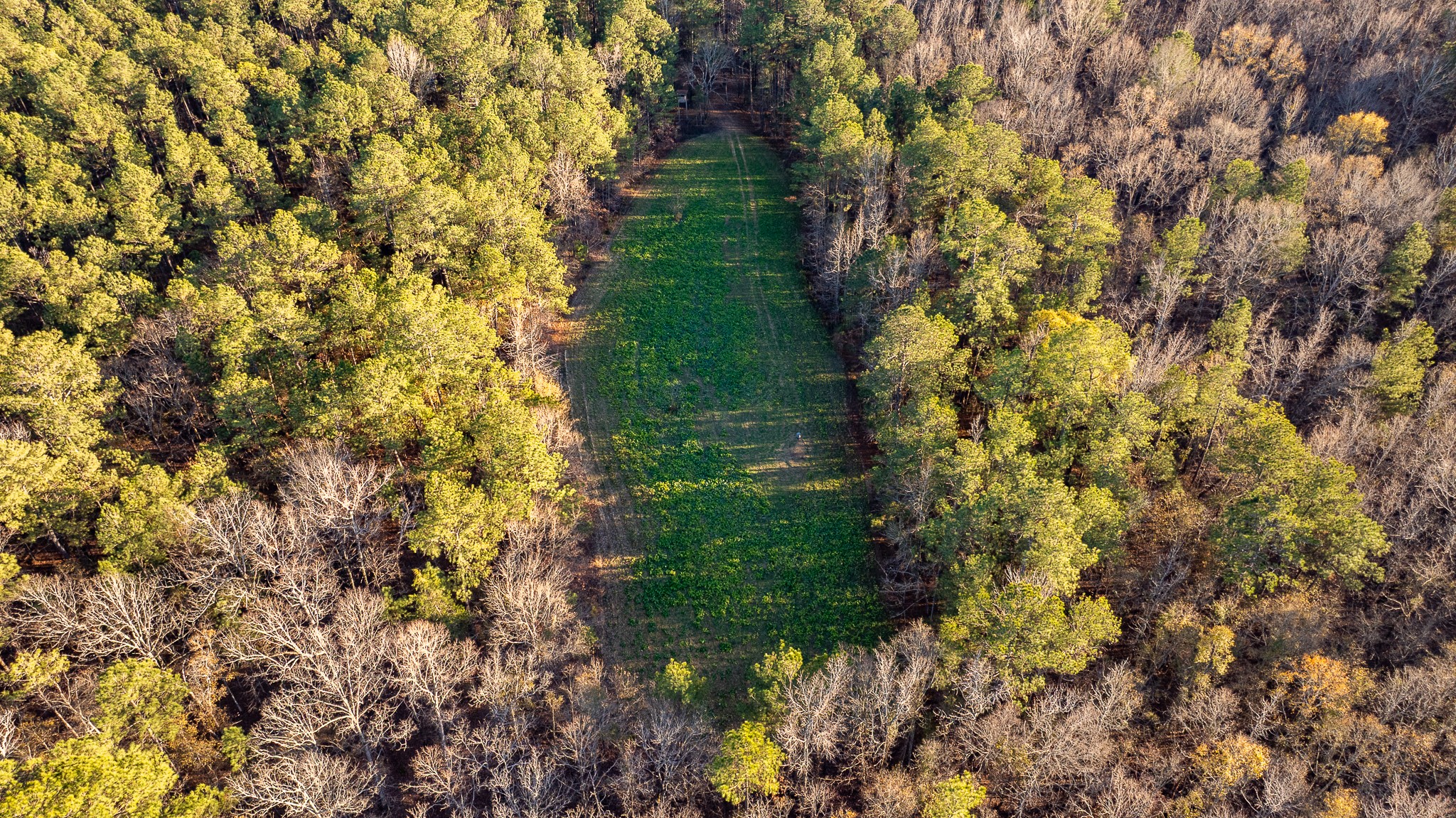 8548 Elberton Road Tignall, GA 30668 - Photo 10 of 50